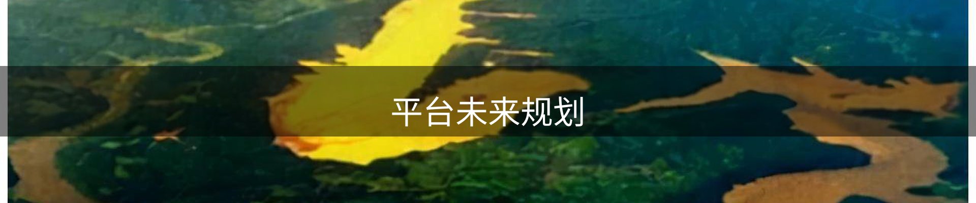 平台未来规划