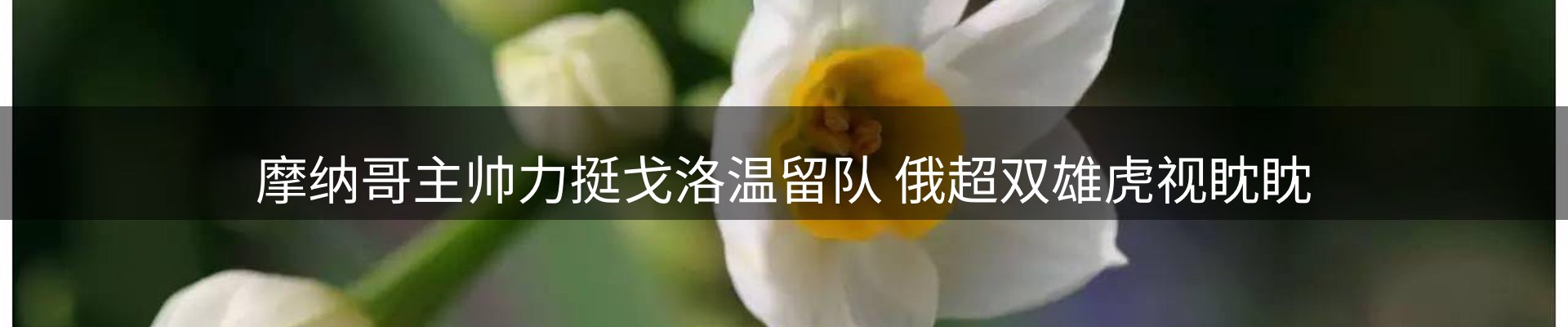 品牌推荐